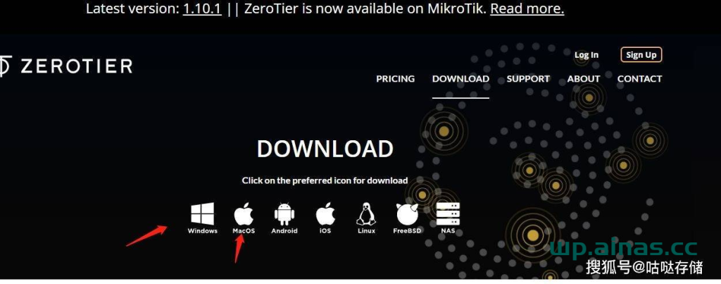 图片[13]-群晖安装ZeroTier内网穿透工具-AiNas.cc