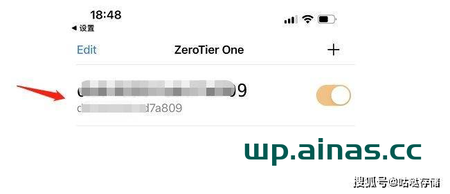 图片[24]-群晖安装ZeroTier内网穿透工具-AiNas.cc